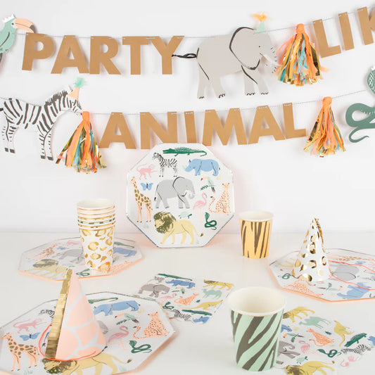 Set fiesta safari
